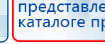 СКЭНАР-1-НТ (исполнение 02.1) Скэнар Про Плюс купить в Норильске, Аппараты Скэнар купить в Норильске, Официальный сайт Дэнас kupit-denas.ru